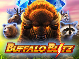 Buffalo Blitz